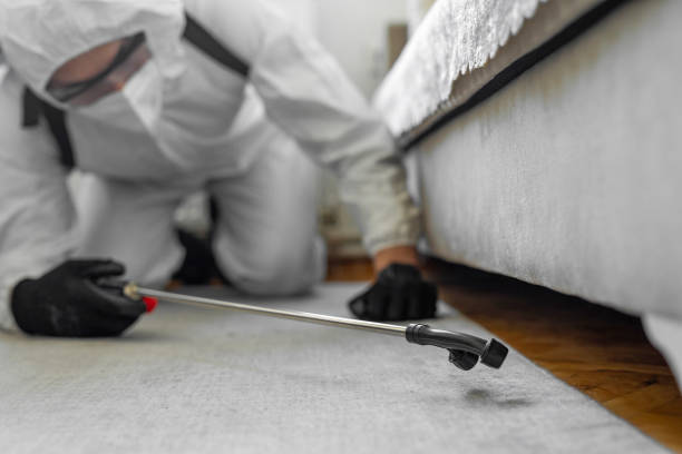 Professional Pest Control technician working in English Creek, NJ