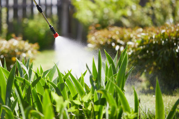 24/7 Emergency Mosquito Control experts in English Creek, NJ