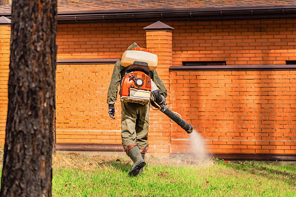 Trusted Termite Control service in English Creek, NJ - Nex Pest Control